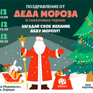 Встреча с Дедом Морозом в Арене